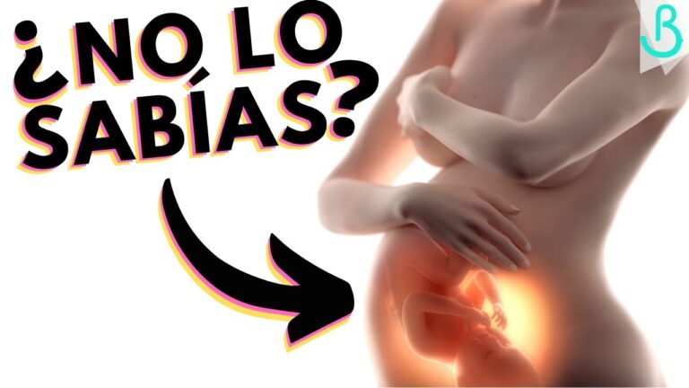 Curiosidades del embarazo: Descubre los hechos más sorprendentes