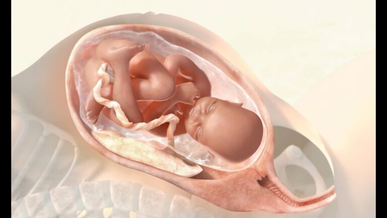 El desarrollo del bebé durante el parto vaginal: Todo lo que debes saber