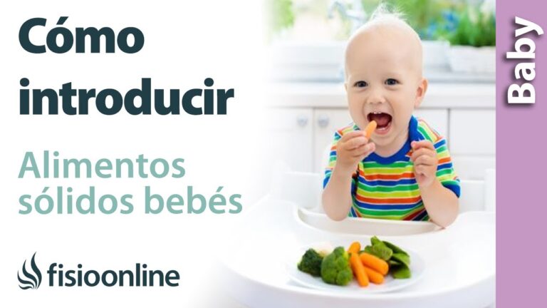 Introducción de alimentos sólidos en bebés: Guía optimizada y concisa
